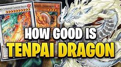 How Good is the TENPAI DRAGON Archetype?