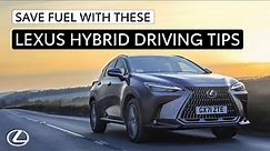 Save fuel with these hybrid driving tips from Lexus