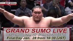 January GRAND SUMO LIVE DAY 15