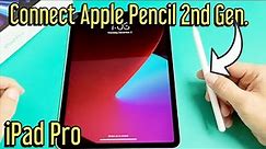 iPad Pro: How to Connect/Pair Apple Pencil 2nd Generation