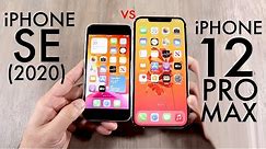 iPhone 12 Pro Max Vs iPhone SE (2020)! (Comparison) (Review)