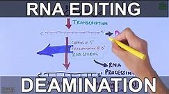 RNA Editing Process