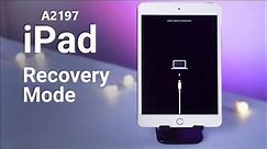 iPad A2197 iTunes Error 4013 Solution