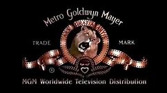 Metro Goldwyn Mayer Worldwide Television Distribution Logo History