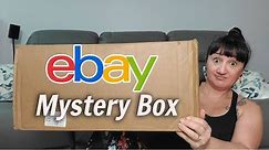 EBAY Mystery Box | 75+ Items For Only $40 | Well Worth It In My Opinion