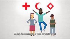 Red Cross: What do the mean?