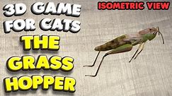 3D game for cats | CATCH THE GRASSHOPPER (isometric view) | 4K, 60 fps, stereo sound