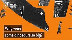 The biggest dinosaurs ever: why did titanosaurs grow so large?