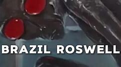 BRAZIL ROSWELL INCIDENT #joerogan #joeroganpodcast #joeroganclips #theory #joeroganexperience #conspiracy #conspiracy #fypage #fypシ #fyp #brazil #roswell #alien #alien