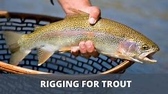 Trout Fishing Rigs (9 Setups You Need To Know)