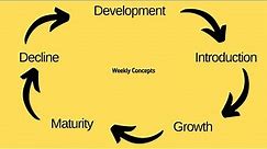 Product Life Cycle: managing product portfolio