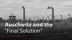 Development of Auschwitz and Its Place in the "Final Solution"