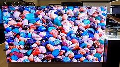 Samsung 110" MicroLED TV (2021) Display