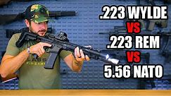 The Best AR-15 Barrel: .223 Wylde vs 5.56