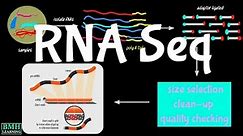 RNA Sequencing | RNA Seq |