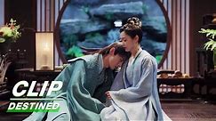 Liu Yuru Says She Doesn't Regret Marrying Gu Jiusi | Destined EP11 | 长风渡 | iQIYI