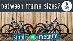 Between Bike Sizes - Should I Size Up or Down? - Ibis Ripley - Women's Mountain Biking