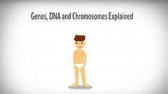Genes, DNA and Chromosomes explained