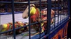 WWF SummerSlam 1990 - Rick Rude Vs. The Ultimate Warrior - video Dailymotion
