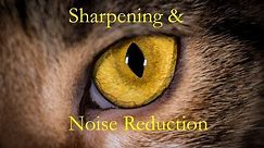 Learn Lightroom 6 - Episode 5: Sharpening & Noise Reduction