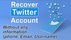 How To Recover Twitter Password Without Email & Phone Number | Reset Twitter Account password - 2021