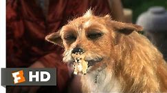 Dude, Where's My Car? (1/5) Movie CLIP - Stoner Dog (2000) HD