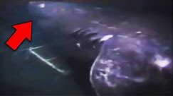 13 Megalodon Shark Sightings Caught on Tape