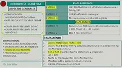 Nefrología - Sd nefrotico nefroticos primarios nefropatias diabetica sd nefritico ITU