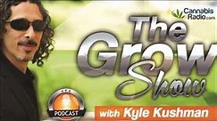 Cannabis Cultivation | Amsterdam VS Colorado | The Grow Show with Kyle Kushman on CannabisRadio.com