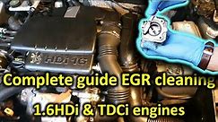 The complete guide to EGR cleaning (1.6HDi and 1.6TDCi engines)
