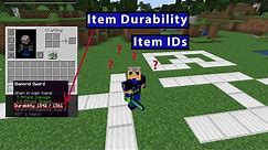 Show Minecraft item durability and item ids