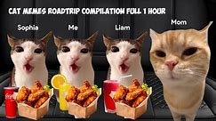 Cat MEMES Roadtrip Compilation Full 1 Hour