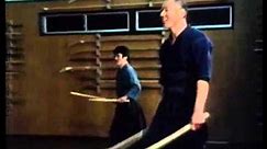 Two Swords Technique - Tenshinsho-den Katori Shinto ryu