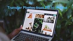 How to Transfer Photos from PC to iPhone or iPad [Easy Way]