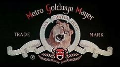 Metro-Goldwyn-Mayer (1982)
