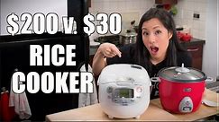 Worth It? $200 Rice Cooker VS $30 Blind Taste Test!