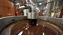 Barry Callebaut: Salmonella Bacteria Found in The World's Biggest Chocolate Plant in Belgium