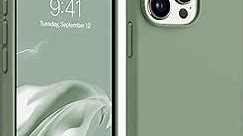 AOTESIER Compatible with iPhone 15 Pro Max Case 6.7 inch, Silky Touch Premium Soft Liquid Silicone Rubber Anti-Fingerprint Full-Body Protective Flexible Bumper Case (Sage Green)