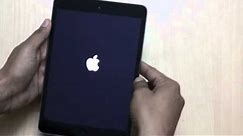 [iPad Issue] How To Solve "No Display" or "Black Screen" Problem On iPad (iPad Mini)