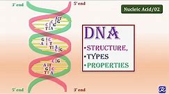 2: DNA:Structure, Types, Properties | Molecular Biology | Biochemistry | N'JOY Biochemistry