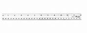 12-Inch Ruler Life-Size
