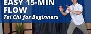 15 Minute Tai Chi for Beginners