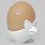 3D Printed Egg Holder
