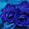4K Blue Rose