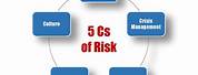 5 CS of Risk Management
