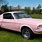 67 Pink Mustang