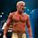 AEW Wrestling Cody Rhodes