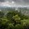 About Amazon Rainforest