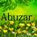 Abuzar Name