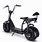 Adult Electric Motor Scooters